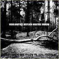 Muspelheim (AUS) : Denne Kampen Ble Lenger En Jeg Trodde